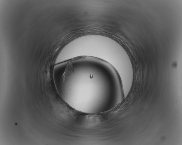 X0000096960520200802151239