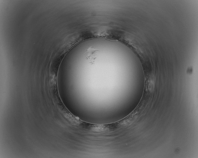 X0000096960521200802151239