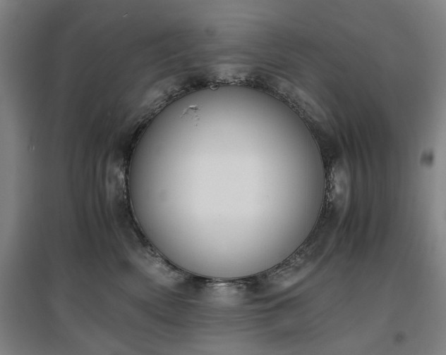 X0000096960522200802151239