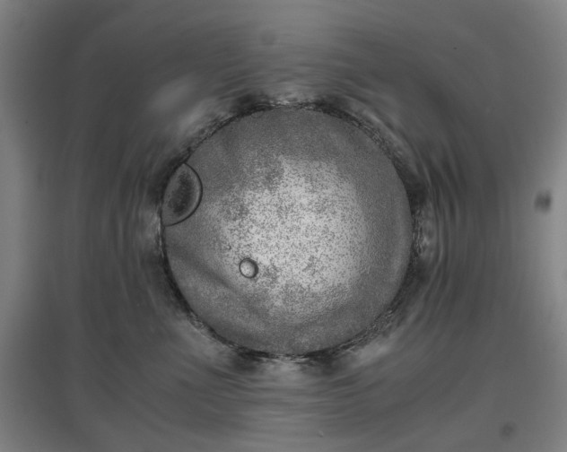 X0000096960523200802151239