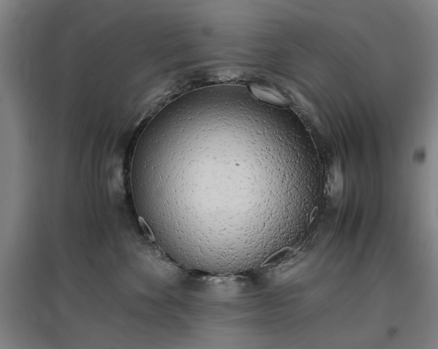 X0000096960524200802151239