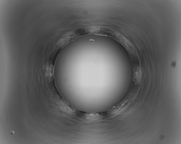 X0000096960525200802151239