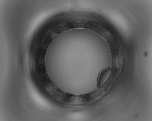 X0000096960526200802151239