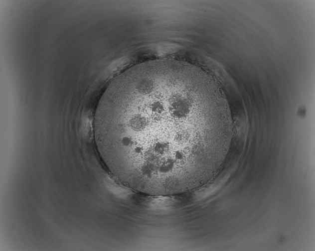 X0000096960527200802151238