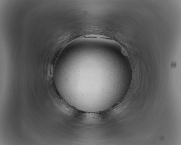 X0000096960528200802151238