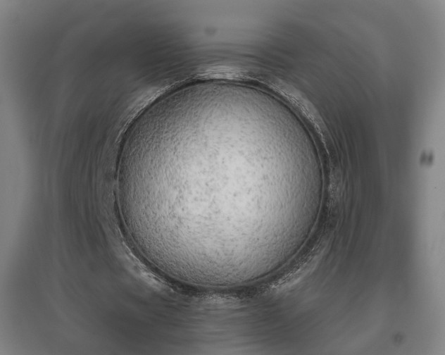 X0000096960529200802151238