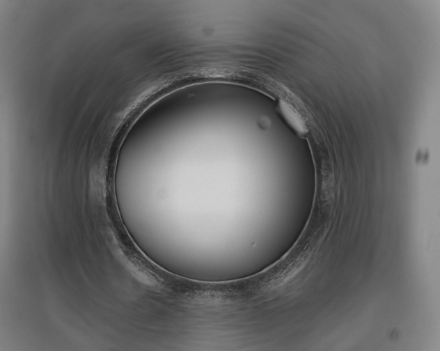 X0000096960530200802151238