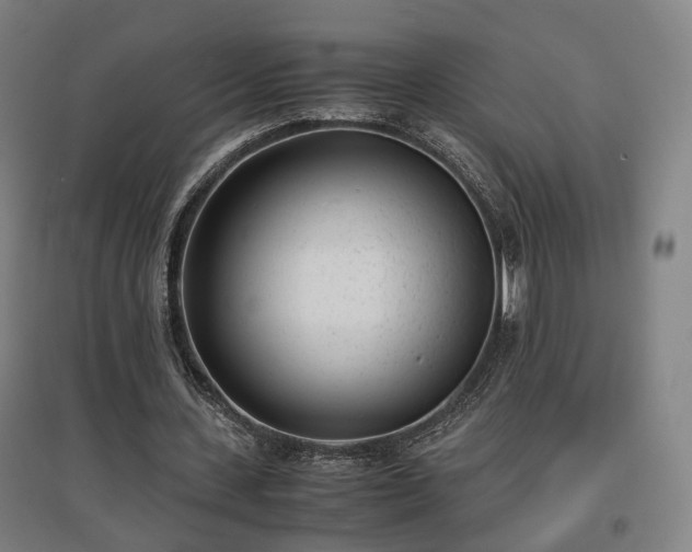 X0000096960531200802151238