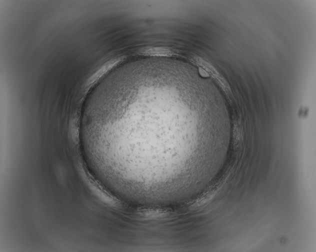 X0000096960533200802151238