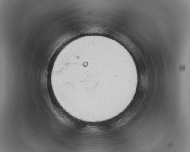 X0000096960534200802151238