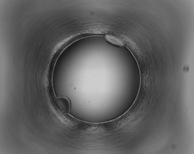 X0000096960536200802151238