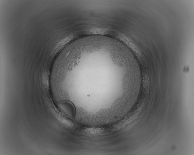 X0000096960537200802151238