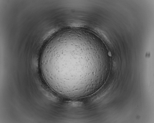 X0000096960539200802151238