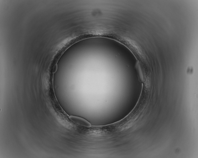 X0000096960540200802151238