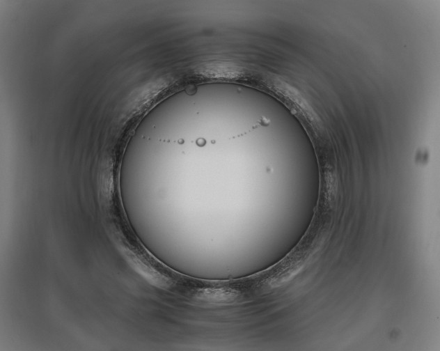 X0000096960541200802151238