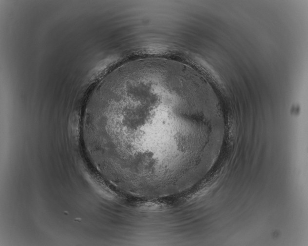 X0000096960542200802151238