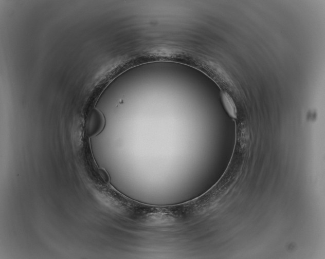 X0000096960544200802151238