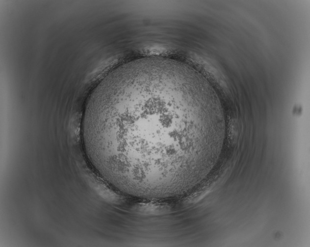 X0000096960545200802151238