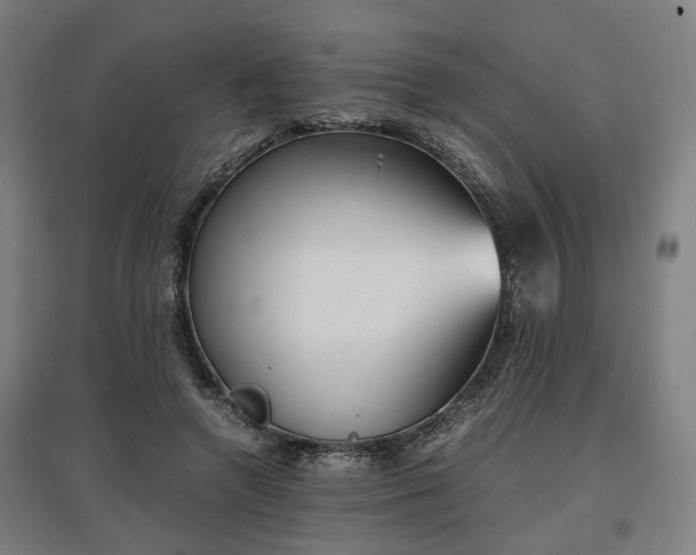 X0000096960546200802151238