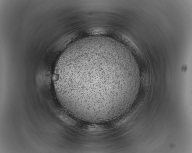 X0000096960549200802151238