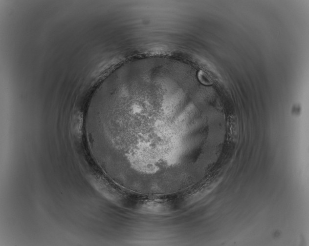 X0000096960550200802151238