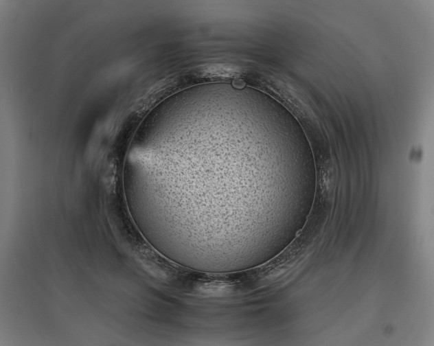 X0000096960551200802151238