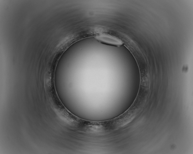 X0000096960552200802151238