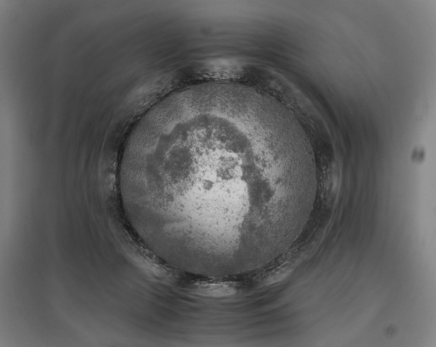 X0000096960553200802151238