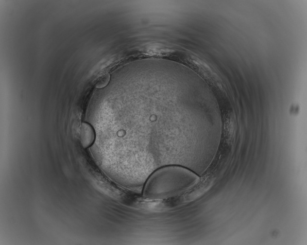 X0000096960554200802151238