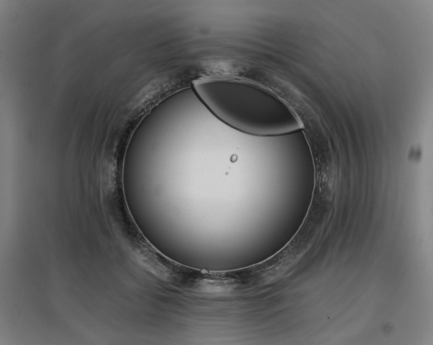 X0000096960556200802151238