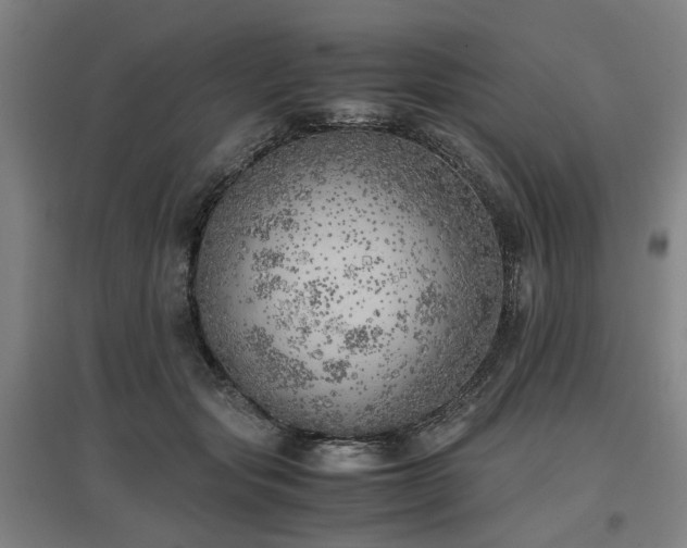 X0000096960557200802151238