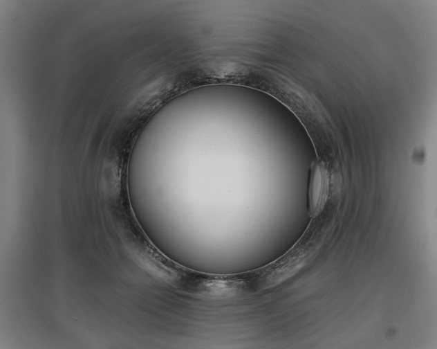 X0000096960558200802151238