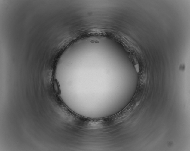 X0000096960560200802151238