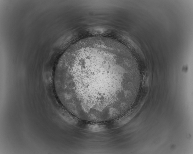 X0000096960561200802151238