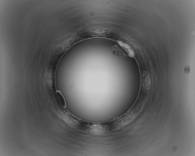 X0000096960562200802151238