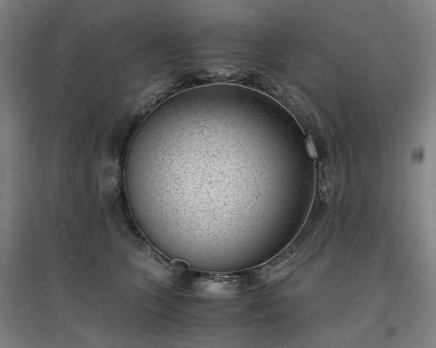 X0000096960563200802151238