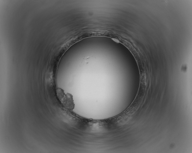 X0000096960564200802151238
