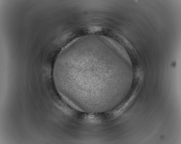 X0000096960565200802151238