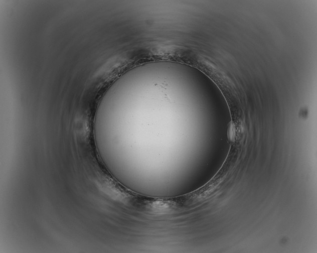 X0000096960566200802151238