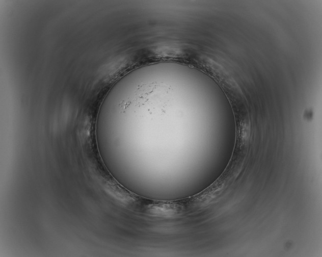 X0000096960567200802151238