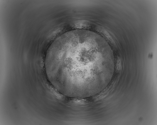 X0000096960569200802151238