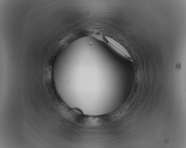 X0000096960570200802151238