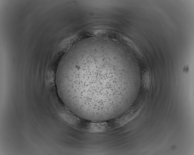X0000096960571200802151238