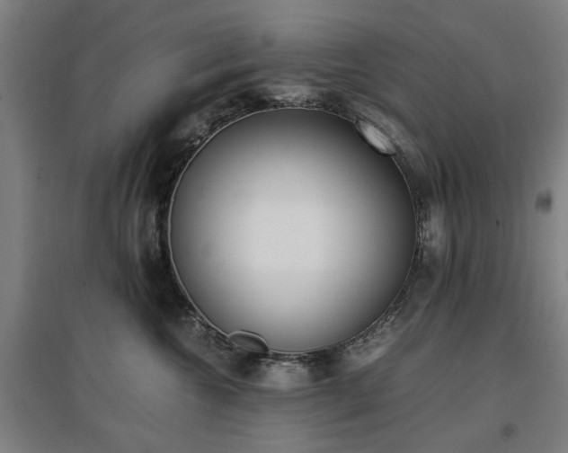 X0000096960572200802151238