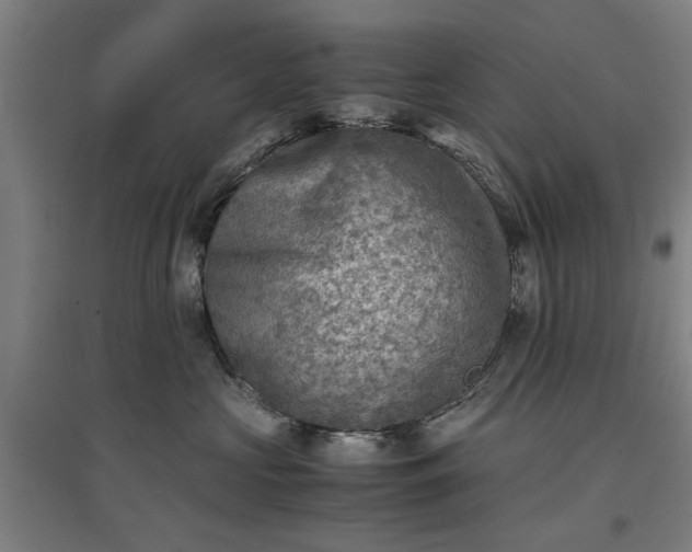 X0000096960573200802151238