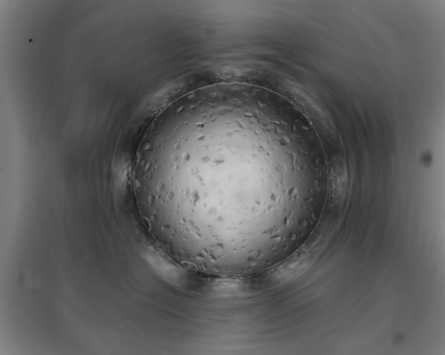 X0000096960574200802151238