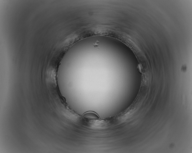 X0000096960575200802151238