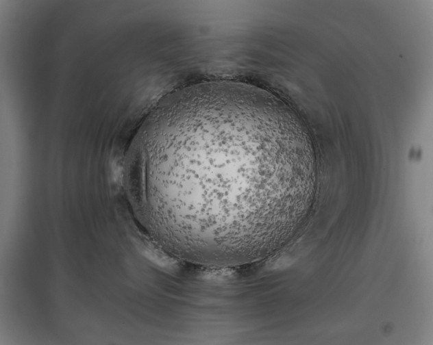 X0000096960576200802151238