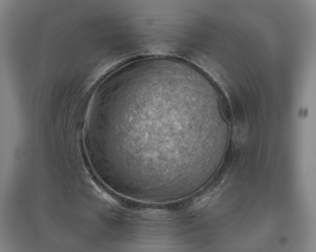 X0000096960577200802151238