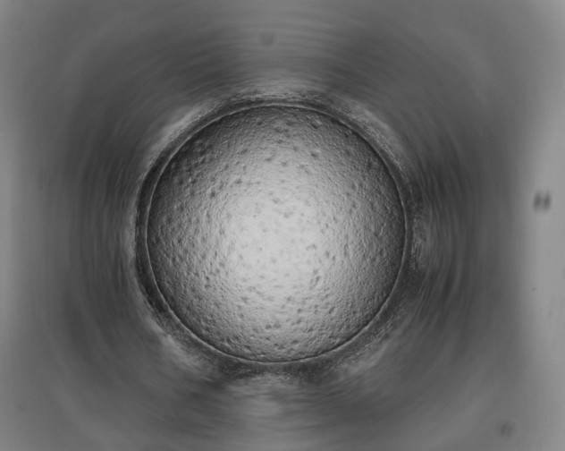 X0000096960578200802151238